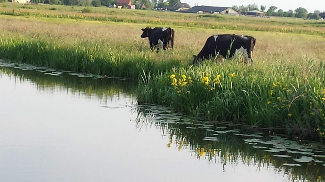 Bed and Breakfast Het Kraaienbosch Zegveld Zewnętrze zdjęcie